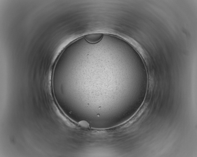 X0000113011006200909031310