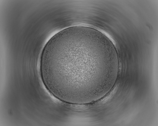 X0000113011007200909031310