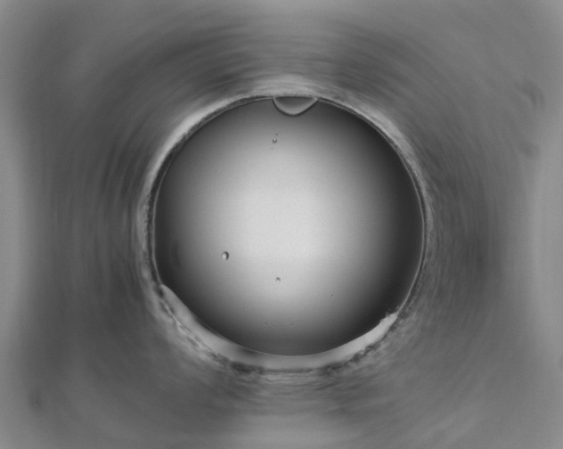 X0000113011008200909031310