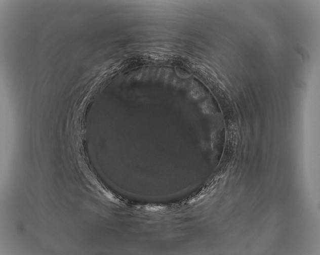 X0000113011009200909031309