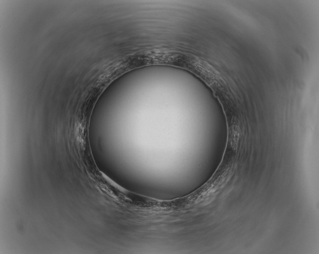 X0000113011010200909031309