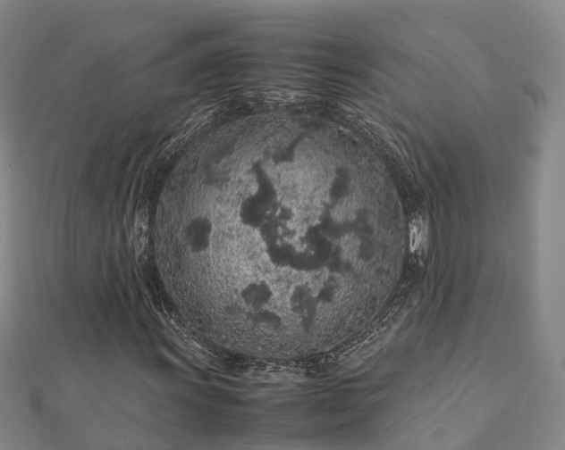 X0000113011011200909031309