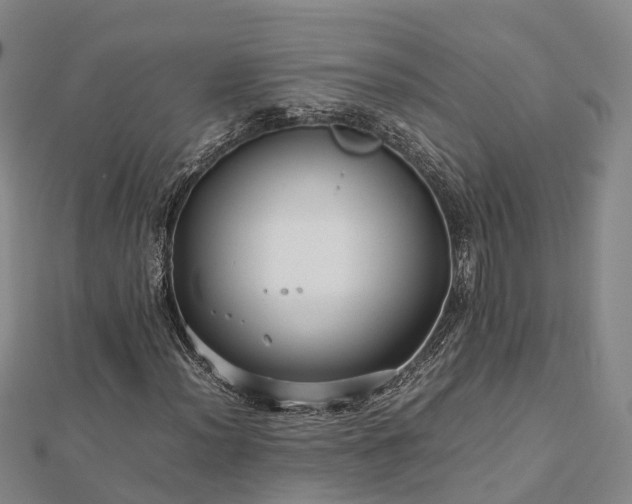 X0000113011012200909031309