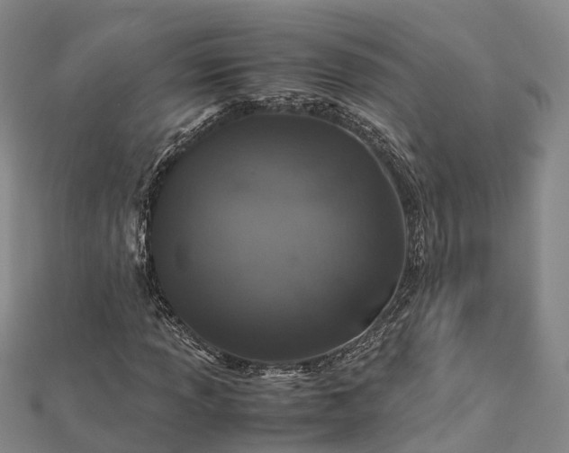 X0000113011013200909031309