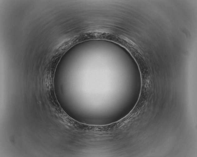 X0000113011014200909031309