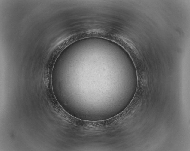 X0000113011015200909031309