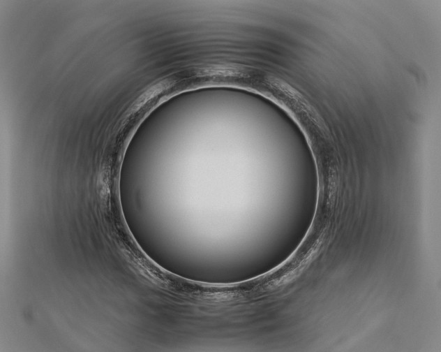 X0000113011017200909031309