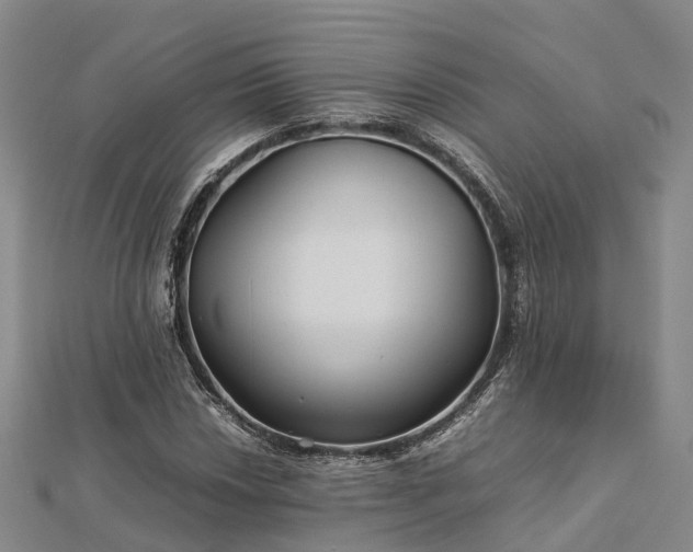 X0000113011018200909031309