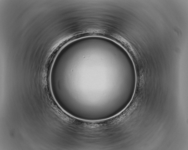 X0000113011019200909031309