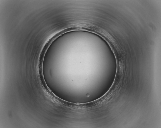 X0000113011020200909031309