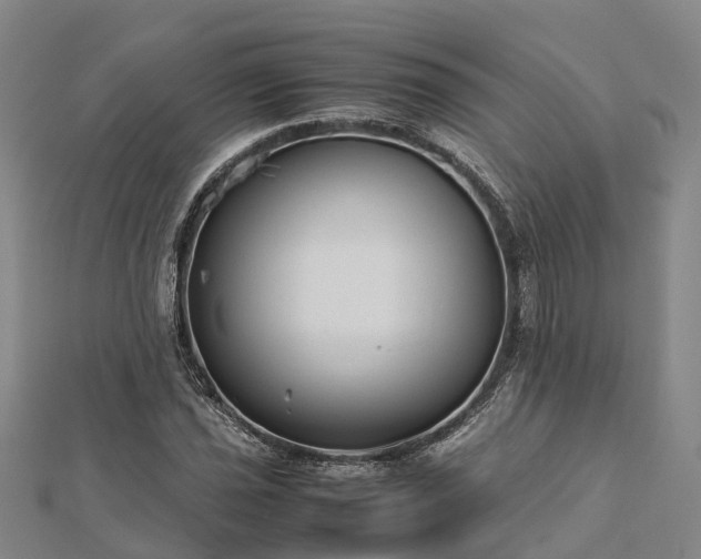 X0000113011021200909031309