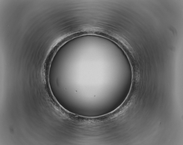 X0000113011022200909031309