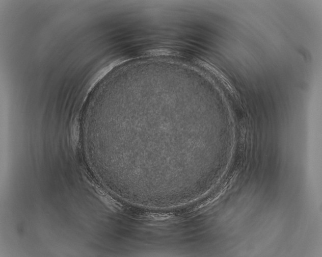 X0000113011023200909031309