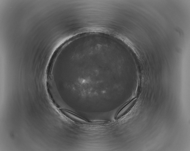 X0000113011024200909031309