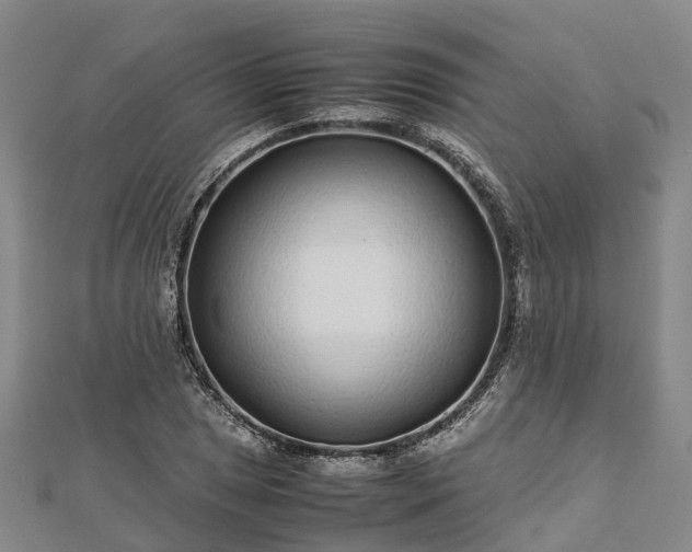 X0000113011025200909031309