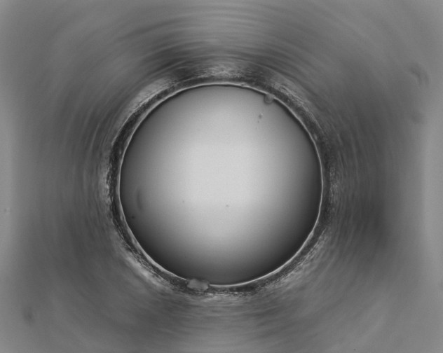 X0000113011026200909031309