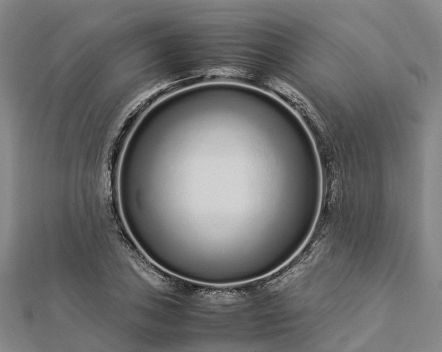 X0000113011027200909031309