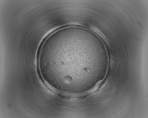 X0000113011028200909031309