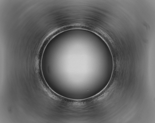 X0000113011029200909031309