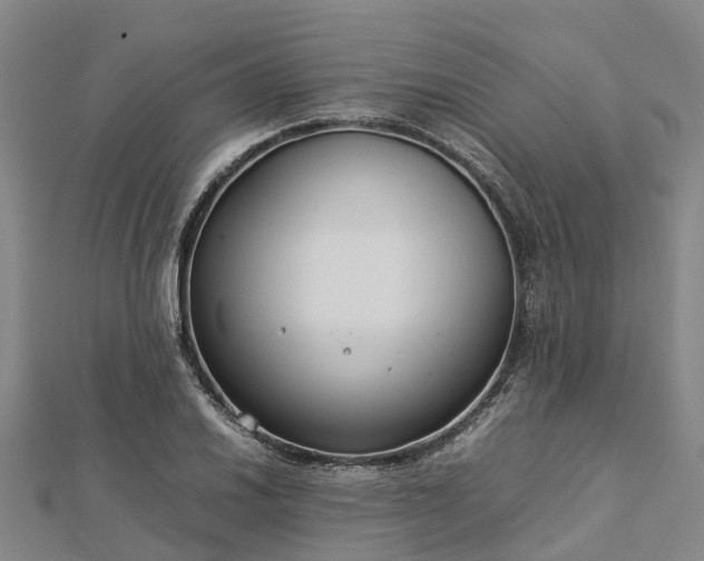 X0000113011030200909031309