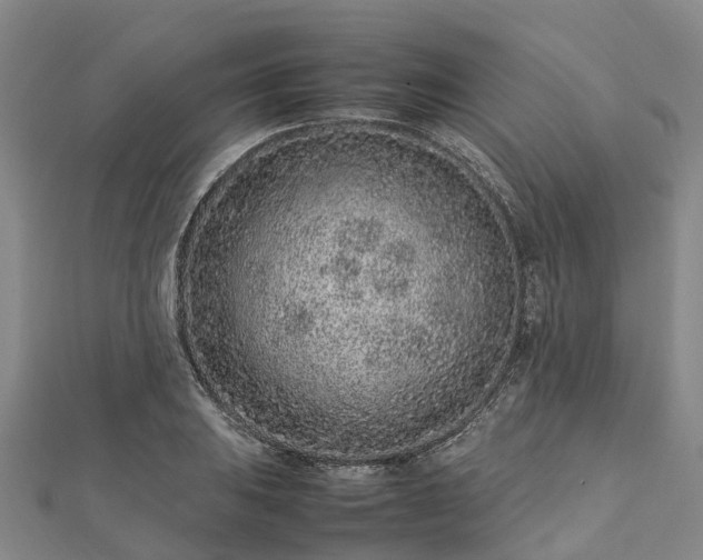 X0000113011031200909031309