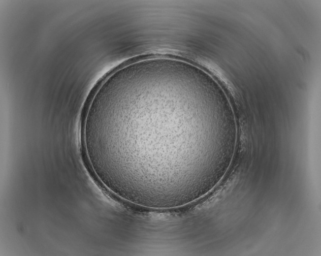 X0000113011032200909031309