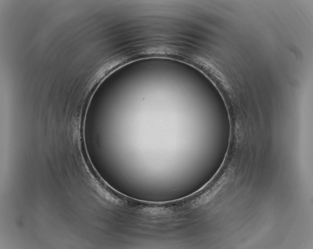 X0000113011033200909031309