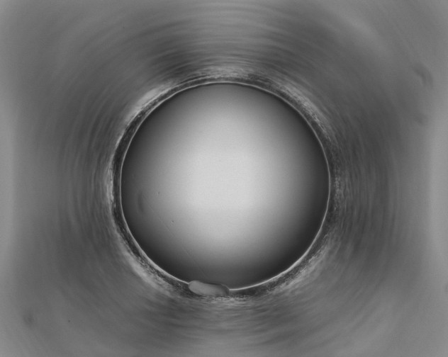 X0000113011034200909031309