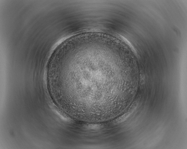 X0000113011035200909031309