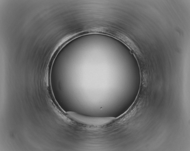 X0000113011036200909031309