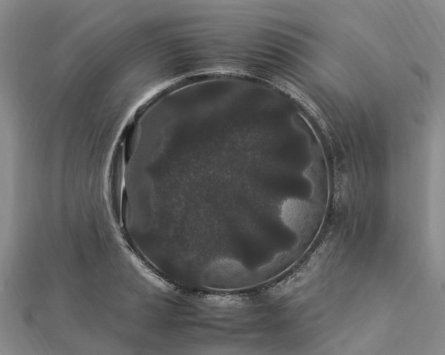 X0000113011037200909031309