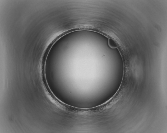 X0000113011038200909031309