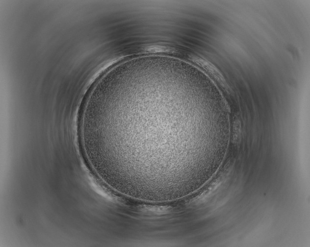 X0000113011039200909031309