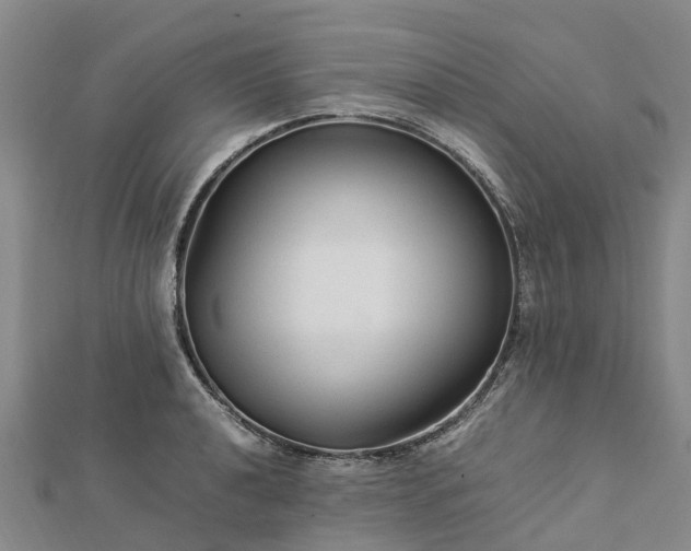 X0000113011040200909031309