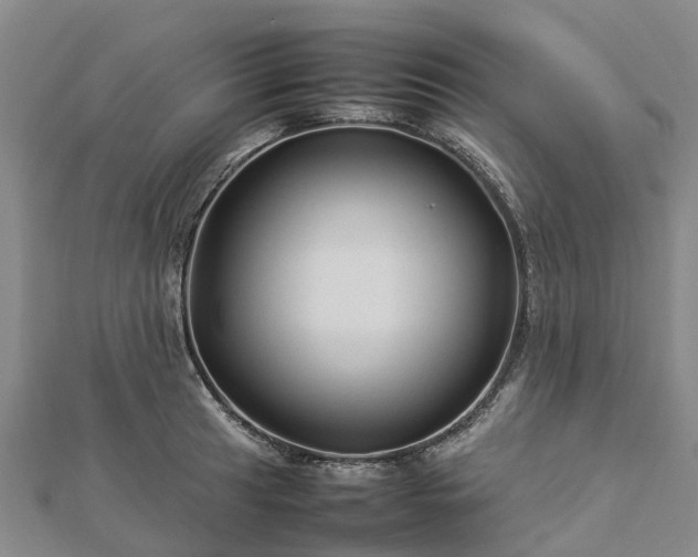 X0000113011041200909031309