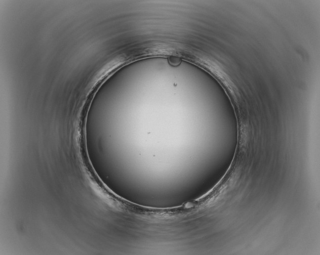 X0000113011042200909031309