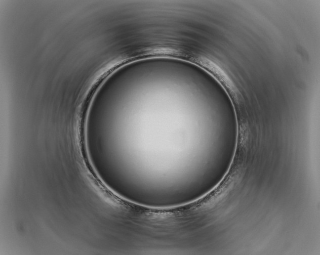 X0000113011043200909031309