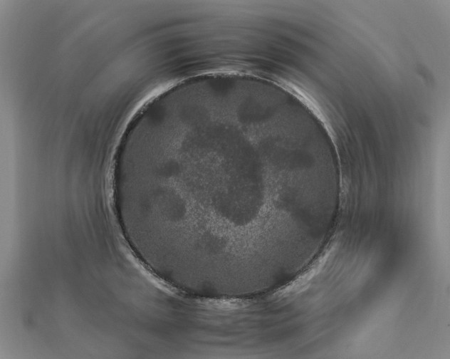 X0000113011045200909031309