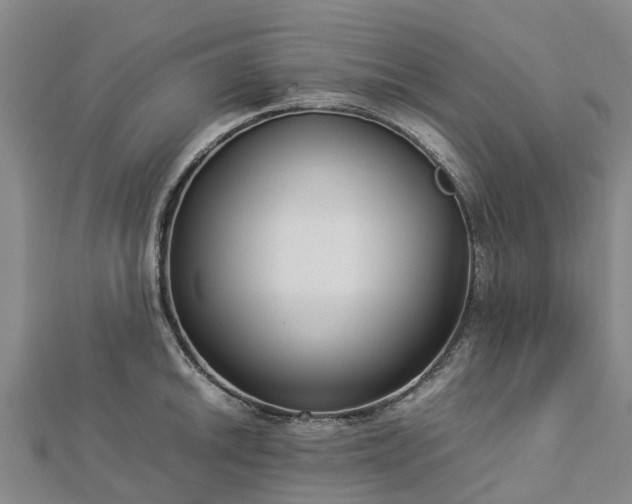 X0000113011046200909031309