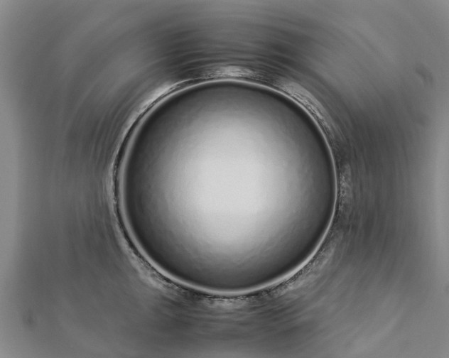 X0000113011047200909031309