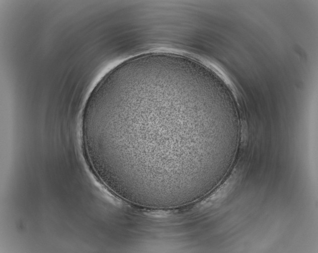 X0000113011048200909031309