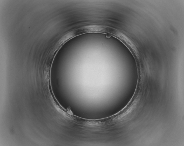 X0000113011049200909031310