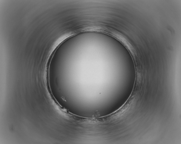 X0000113011050200909031310