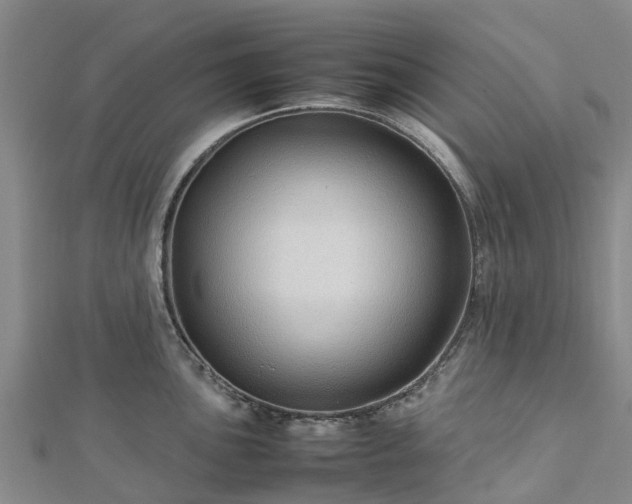 X0000113011051200909031310