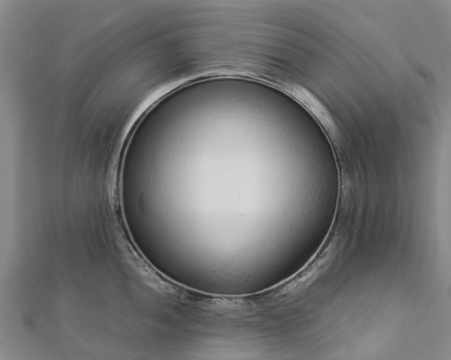 X0000113011052200909031310