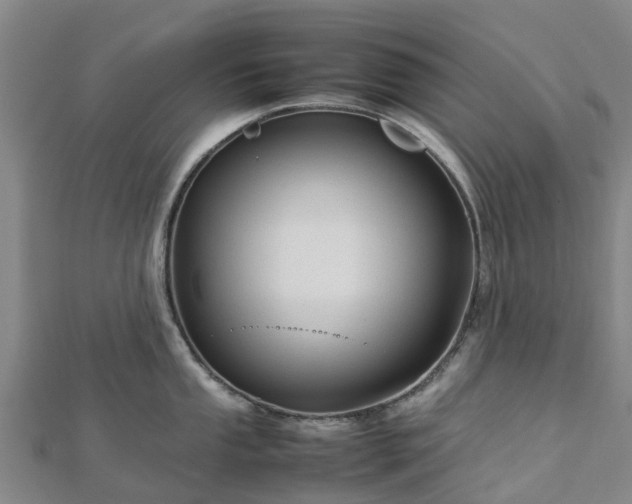 X0000113011053200909031310