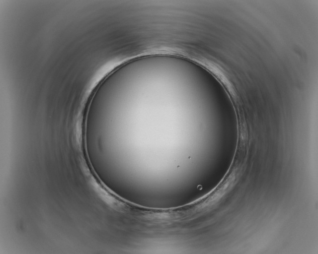 X0000113011054200909031310