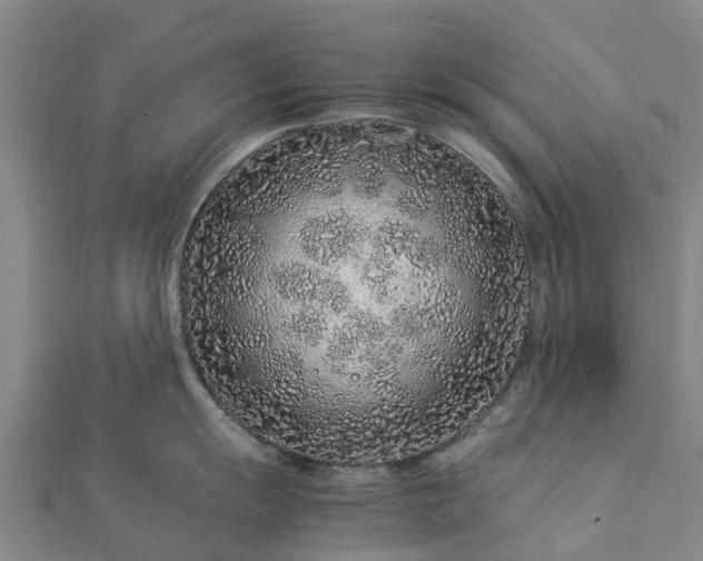 X0000113011055200909031310