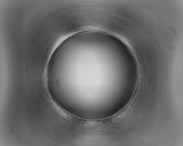 X0000113011056200909031310