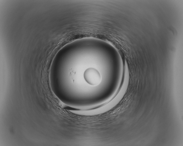 X0000113011057200909031309